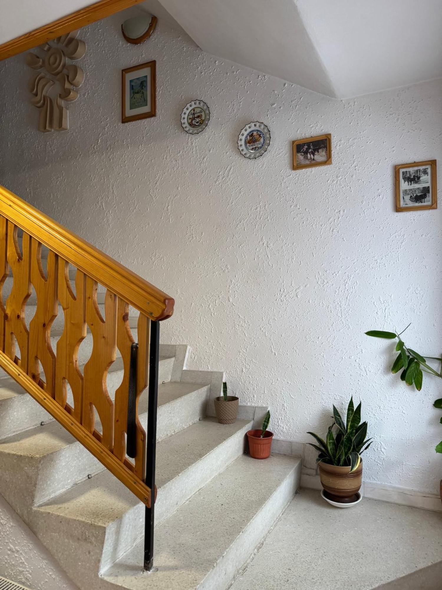 Mama Emiliya Guest House Beli Iskar Bagian luar foto